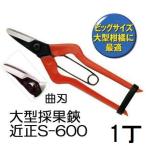  близко правильный большой ... искривление лезвие S-600.... лезвие chikamasa( кошка pohs ) zm
