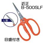  близко правильный виноград .B-500SLF L type искривление . лезвие нержавеющая сталь fso обработка виноград починка . шкала имеется chikamasa( кошка pohs ) haya