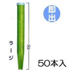 グリーンパイル ラージ G-300 3×30cm (50本入) 業務用 ジェイカムアグリ 樹木専用打込み肥料 17-10-10 (zs23)