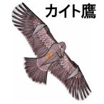 鳥追い カイト鷹 KD-180 (ファイバーポール支柱付) 防鳥具 愛農　zs