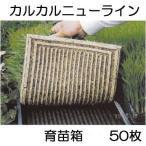 (50枚セット) 育苗箱 カルカルニューライン 軽労化育苗箱 (法人個人選択)