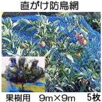 (5枚セット) 果樹用 直がけ防鳥網 9ｍ×9ｍ 20mm目 1000d (強力防鳥網 果樹すっぽり防鳥ネット) zmO3/zsレ