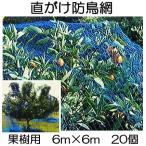 (ケース特価20個セット) 果樹用 直がけ防鳥網 6ｍ×6ｍ 20mm目 1000d (強力防鳥網 果樹すっぽり防鳥ネット) zmzs