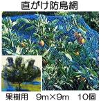(ケース特価10個セット) 果樹用 直がけ防鳥網 9ｍ×9ｍ 20mm目 1000d (強力防鳥網 果樹すっぽり防鳥ネット) zmzs