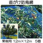 (ケース特価5個セット) 果樹用 直がけ防鳥網 12ｍ×12ｍ 20mm目 1000d (強力防鳥網 果樹すっぽり防鳥ネット) zmzs