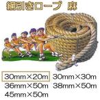 ( местного производства товар мощный модель ) перетягивание трос ( лен ) 30mm×20m.. трос обе край .. .. обработка ( задний s цена центр ввод ) сделано в Японии 