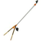 ( бесплатная доставка )nisigaki futoshi круг эластичный futoshi ветка высота ветка порез .N-160 coim