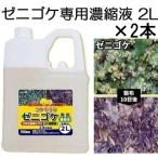 (徳用2本セット) コケそうじ ゼニゴケ専用濃縮液 2L 業務用 パネフリ工業 (SDS確認済)
