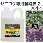 (4本セット) コケそうじ ゼニゴケ専用濃縮液 2L×4個(1ケース) 業務用 パネフリ工業