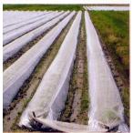 農業用べたがけ資材 パオパオ90　120cm×200ｍ 透光率90％ (zs15)