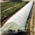 農業用べたがけ資材 不織布 パオパオ90　150cm×200ｍ 透光率90％ 九州の法人なら送料無料 (zs)