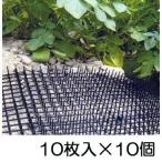 (100枚セット) ここダメシート ブラック 黒色 235×340×18mmトゲ高 (ネコ・犬・鳥などの侵入を防ぐ) 第一ビニール