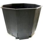 サンポット 120L 620角 8角形 果樹栽培用 大型ポット [水抜き穴有り] サンポリ (法人/個人 選択)