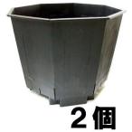 (2個セット) サンポット 120L 620角 8角形 果樹栽培用 大型ポット [水抜き穴有り] サンポリ (法人/個人 選択)