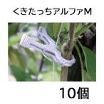 (10個入) くきたっちアルファM 細紐用 縦紐・横紐対応 茎保持部内径15mm シーム 誘引資材 ※ネコポスでの発送となります。　zm