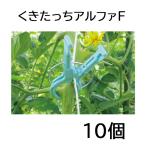 (10個入) くきたっちアルファF 太紐用 縦紐・横紐対応 茎保持部内径24mm シーム 誘引資材　zm