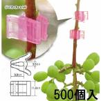 (500個入×1袋) ジベマーカー (色をお選びください：レッド、クリアー、ブルー、パープル、オレンジ) ジベレリン処理などの目印に シーム zm