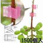 (色をお選びください) (500個入×3袋) ジベマーカー (レッド、クリアー、ブルー、パープル、オレンジ) (1500個) ジベレリン処理などの目印に シーム　zm