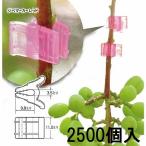(色をお選びください) (500個入×5袋) ジベマーカー (レッド、クリアー、ブルー、パープル、オレンジ) (2500個) ジベレリン処理などの目印に シーム　zm