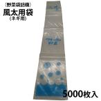 (5000����) �����p�� �l�M�p N-4 (#20)  [��ؑ܋l�@�p ��� �_�@�� �_�� �돤�X]