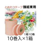(10巻セット×1箱) とめたつテープ 強結束用 TMT211 11mm×30m ニチバン 誘引結束機用粘着テープ (佐川等orレターパック)　zs