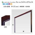 taka шоу Home ярд крыша система рама свет лицо low болт 12V (LED: белый цвет размер :W6000 H2450) * рама цвет выбор 
