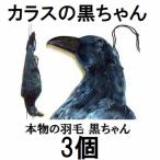 (3個セット) 鳥追いからす カラスの黒