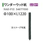 taka шоу поддержка wall wonder дерево .(NAE-P12 54677000) φ100×L1220