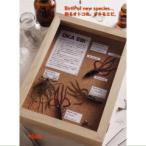 レイドジャパン　オカエビ 2.5インチ Fecoモデル 【メール便OK】