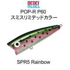 レーベル ポップR P60 ＃SPR5 Rainbow スミスリミテッドカラー POP-R P60