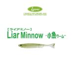 一誠　ライアミノー 4インチ