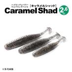 一誠 issei キャラメルシャッド 2.6インチ