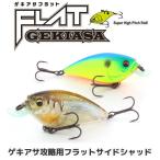 イマカツ　ゲキアサフラット 3Dリアリズム