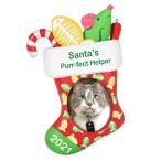 Hallmark память Рождество орнамент 2021 год солнечный ta. Purr-FECT helper кошка чулки фоторамка 