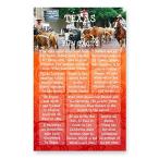 TEXAS FUN FACTSポストカード20枚セット 同一のポストカード 米国州トリビアポストカードパック アメリカ製