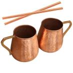 Daddy Shoppe Handmade Ayurveda Copper Moscow Mule Mugs And Strow Set of 2 1