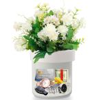 SafeFlower Pot использование не по назначению сейф закрытие ключом имеется секрет. .. сейф цветочный горшок. низ . ценный товар .... оптимальный растения. не входит белый 