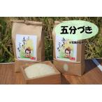 新米 五分づき米 ポイ
