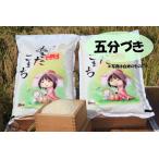 新米 五分づき米 令和7