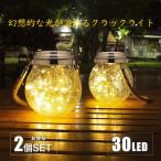 ガーデンライト おしゃれ ソーラーライト 屋外 防雨 電球色 ガラスボトル型 太陽発電 30LED 充電池交換可能 お庭用 プレゼント ガーデニング 2個SET
