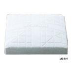  Mizuno ground сопутствующие товары софтбол для одиночный основа официальный стандарт товар 1 листов 16jab41500