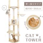 キャットタワー 突っ張り スリム 透明宇宙船 猫タワー 多頭飼い 爪とぎ おしゃれ 大型猫 麻紐 安定性抜群 猫ハウス ネコ 猫用 運動不足 高さ調整 cat-t255