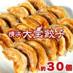 餃子 ぎょうざ もちもち国産ジャンボ大宝餃子 30個 大きい 冷凍餃子 焼き餃子 国産 中華惣菜 点心 冷凍食品 お取り寄せ グルメ ギフト ギョウザ ギョーザ