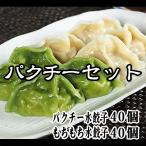 水餃子 餃子 もちもち国産ジャンボ水餃子40個&パクチー水餃子40個 大きい 冷凍餃子 国産 中華惣菜 点心 中華 お取り寄せ ギョウザ ぎょうざ 鍋