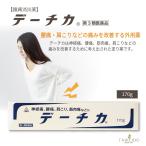 【第３類医薬品】 デーチカ 170ｇ ホノミ漢方 剤盛堂薬品 腰痛 肩こり 神経痛 筋肉痛 捻挫
