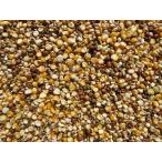 鳩の餌　２５ｋｇ　鳩のご飯　ハトフード　ハトエサ　鳩フード　トウモロコシ　撒き餌　品名なし　【一押し商品】　大起商事（株）