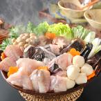 ... головной офис удильщикообразные кастрюля udon комплект удильщикообразные 350g, удильщикообразные цумире 60g, рефрижератор udon 180g,. остров miso 200g, кастрюля суп 55g [ бесплатная доставка ]