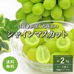 . шар. автомобиль in мускат превосходящий товар примерно 2kg передний и задний (до и после) (3~5. входить ) [.. рынок тщательно отобранный ][ бесплатная доставка ]