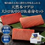 天然本マグロ 食べ比べセット 大とろ&中とろ&赤身(各約180g) 合計約540g 正規品  送料無料 ｜爆買