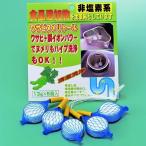 排水口 ぬめりとり 排水溝 ぬめり取り 非塩素系 排水除菌洗浄脱臭剤 ワサビヌメリトール  クリーナー 除菌 ヌメリ予防 消臭 流し台 シンク メール便送料無料